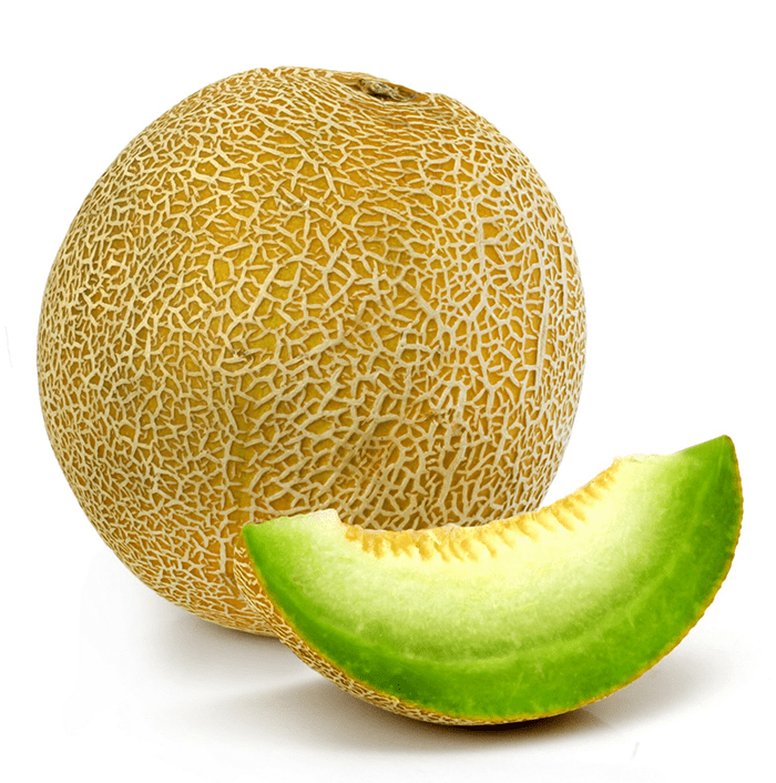 Galia Melon ABC Fresh
