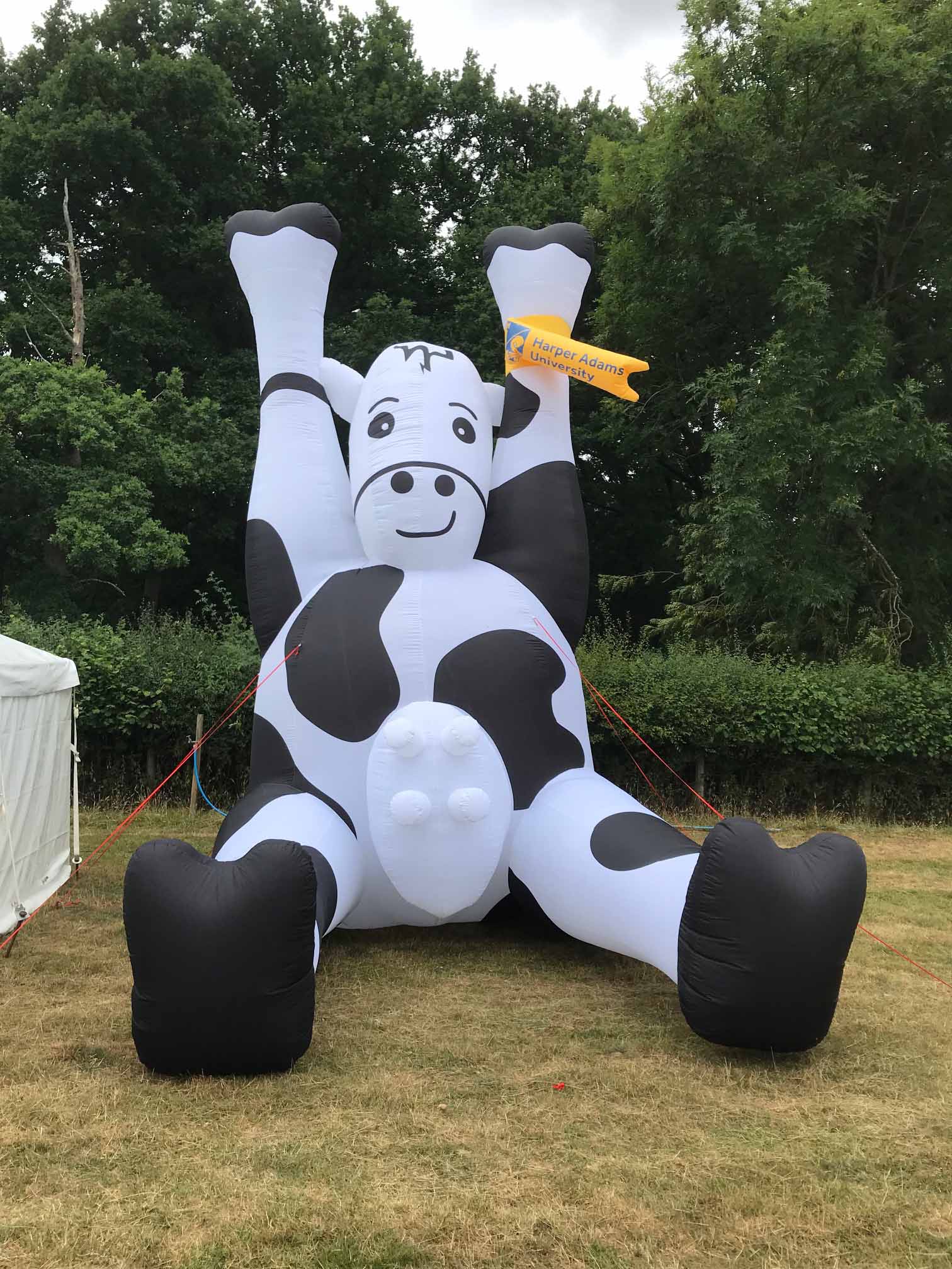 inflatablecow ABC Inflatables