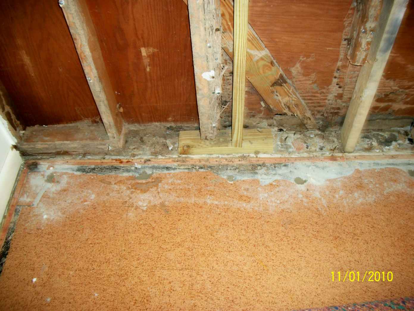 South Jersey Termite Damage Repair South Jersey Termite & Pest