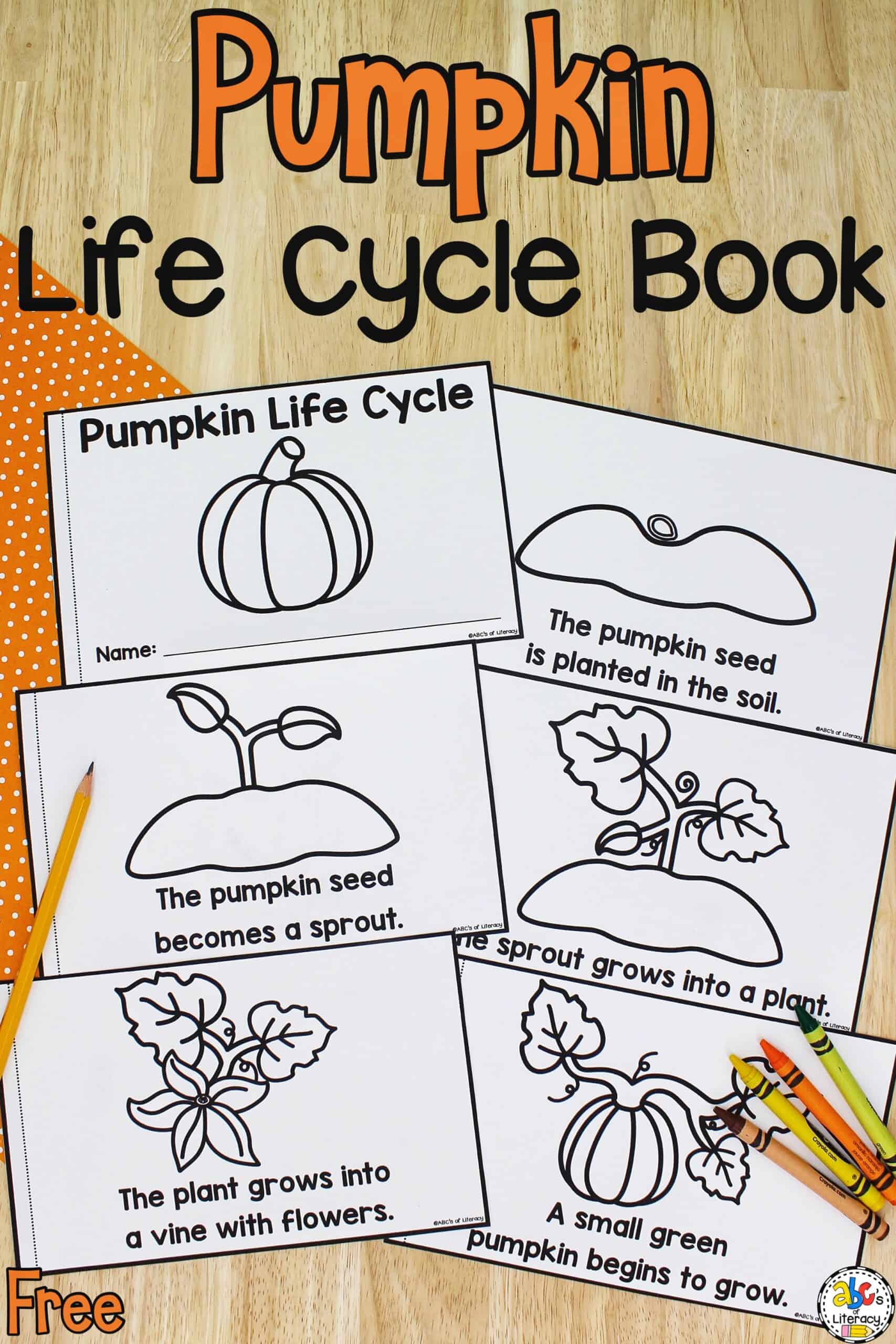 Life Cycle Of A Pumpkin Book Free Printable Science Book