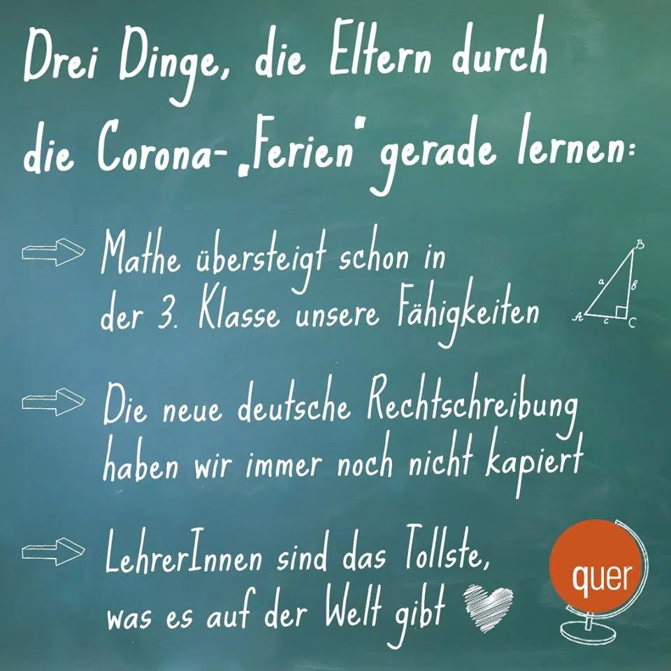 Der Pubertist: Überlebenshandbuch für Eltern (German.