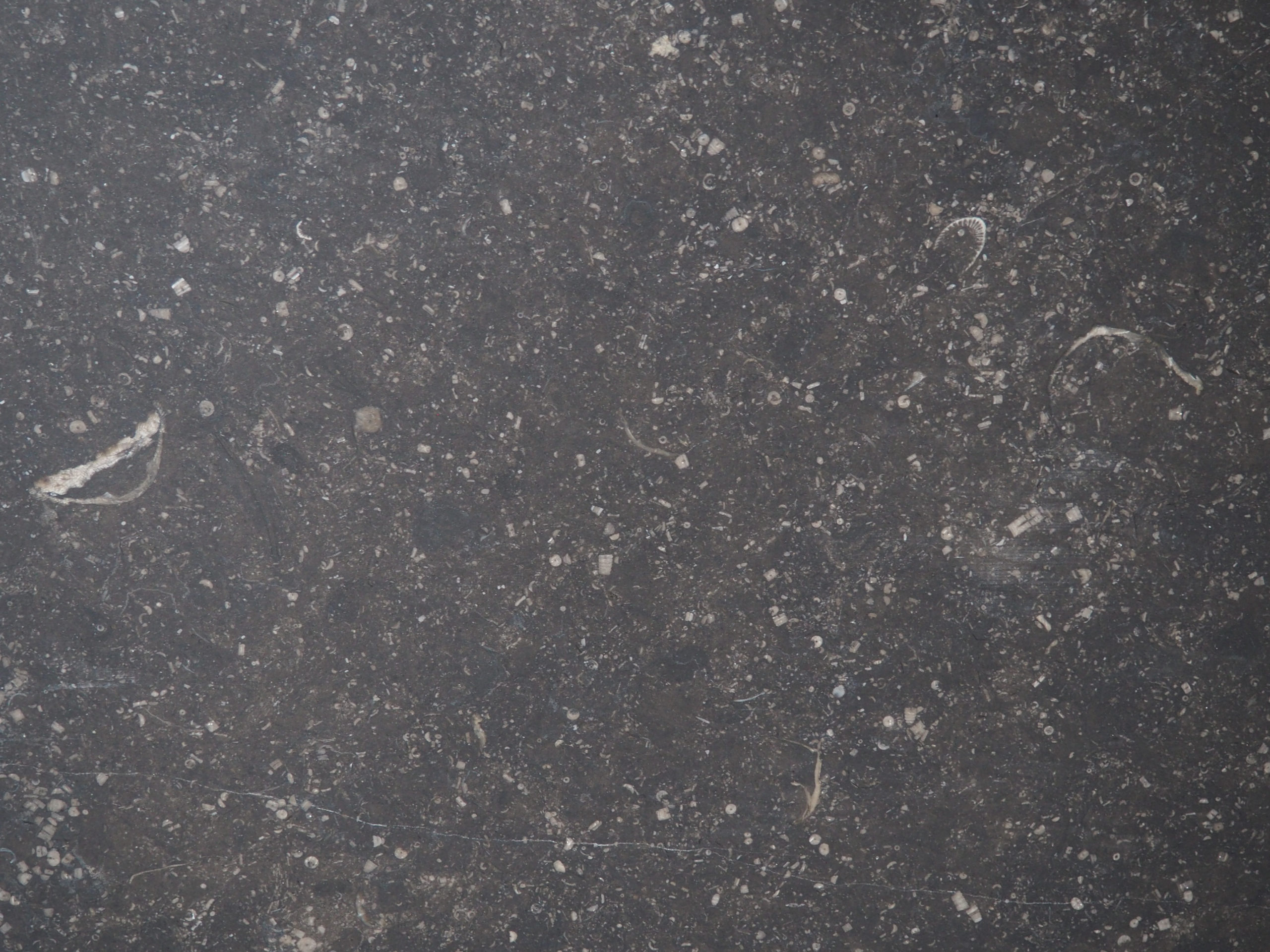 Petit Granit Honed ABC Stone ABC Stone