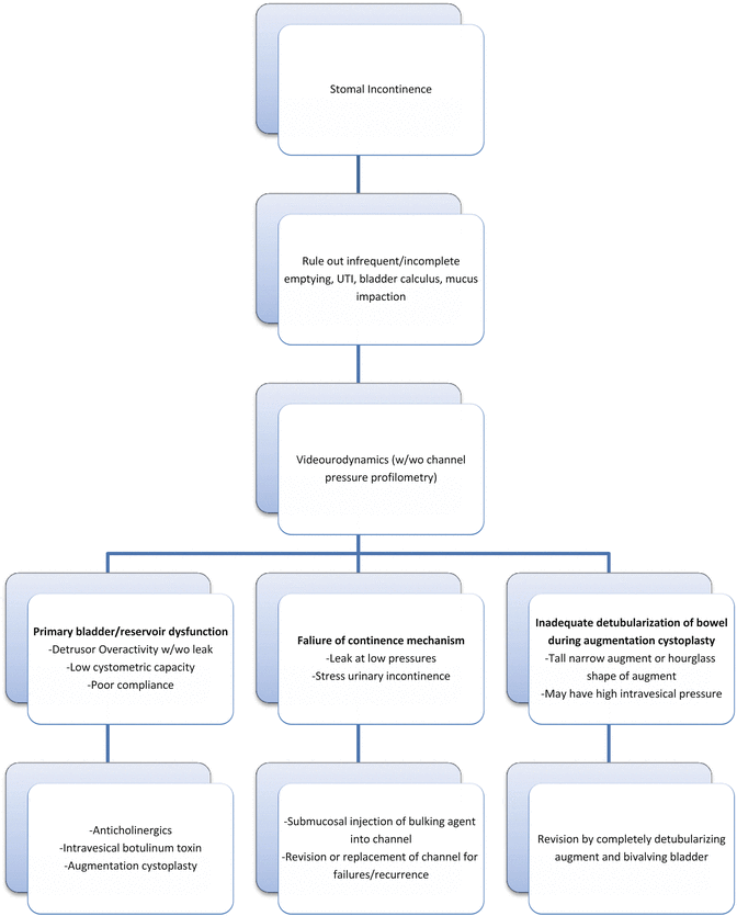 Troubleshooting Continent Catheterizable Channels Abdominal Key