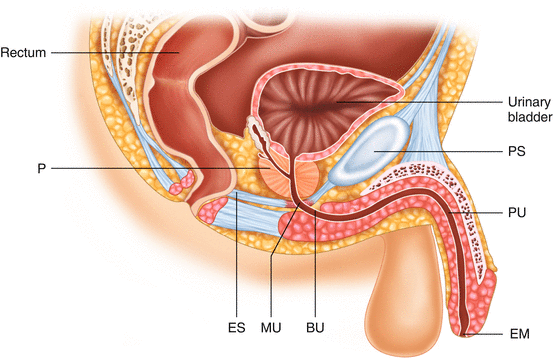 Urethra Doujinshi