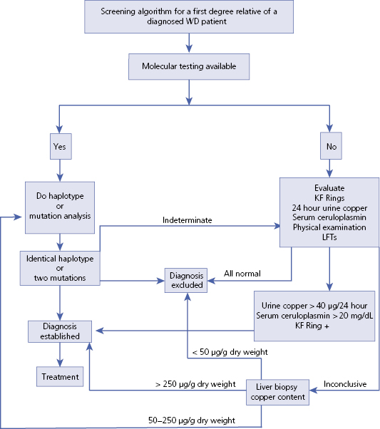 16 Wilson Disease Abdominal Key