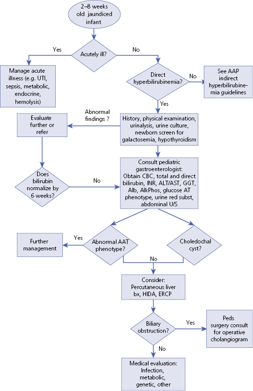 Neonatal Jaundice Differential