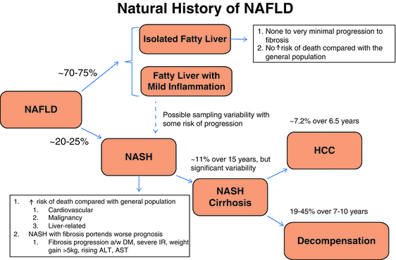 Nonalcoholic Fatty Liver Disease: Clinical Features, Disease Modifiers, And Natural History | Abdominal Key