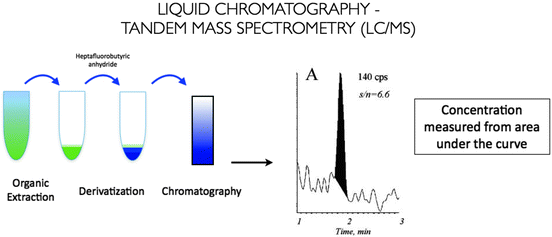 The Laboratory Diagnosis of Testosterone Deficiency Abdominal Key