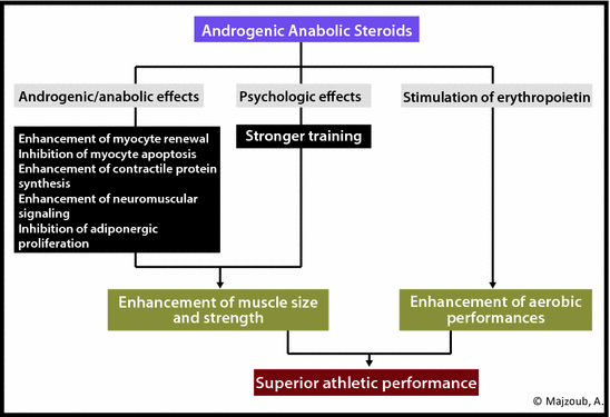 The Price Of Power Rock Stars And Anabolic Abuse - b7otd5c