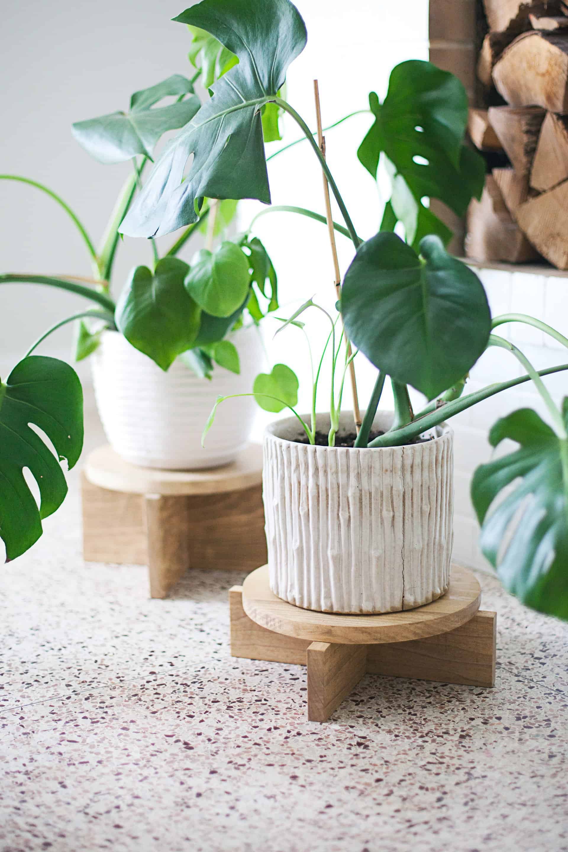 4 DIY (Crazy Easy) Modern Plant Stands leafveins