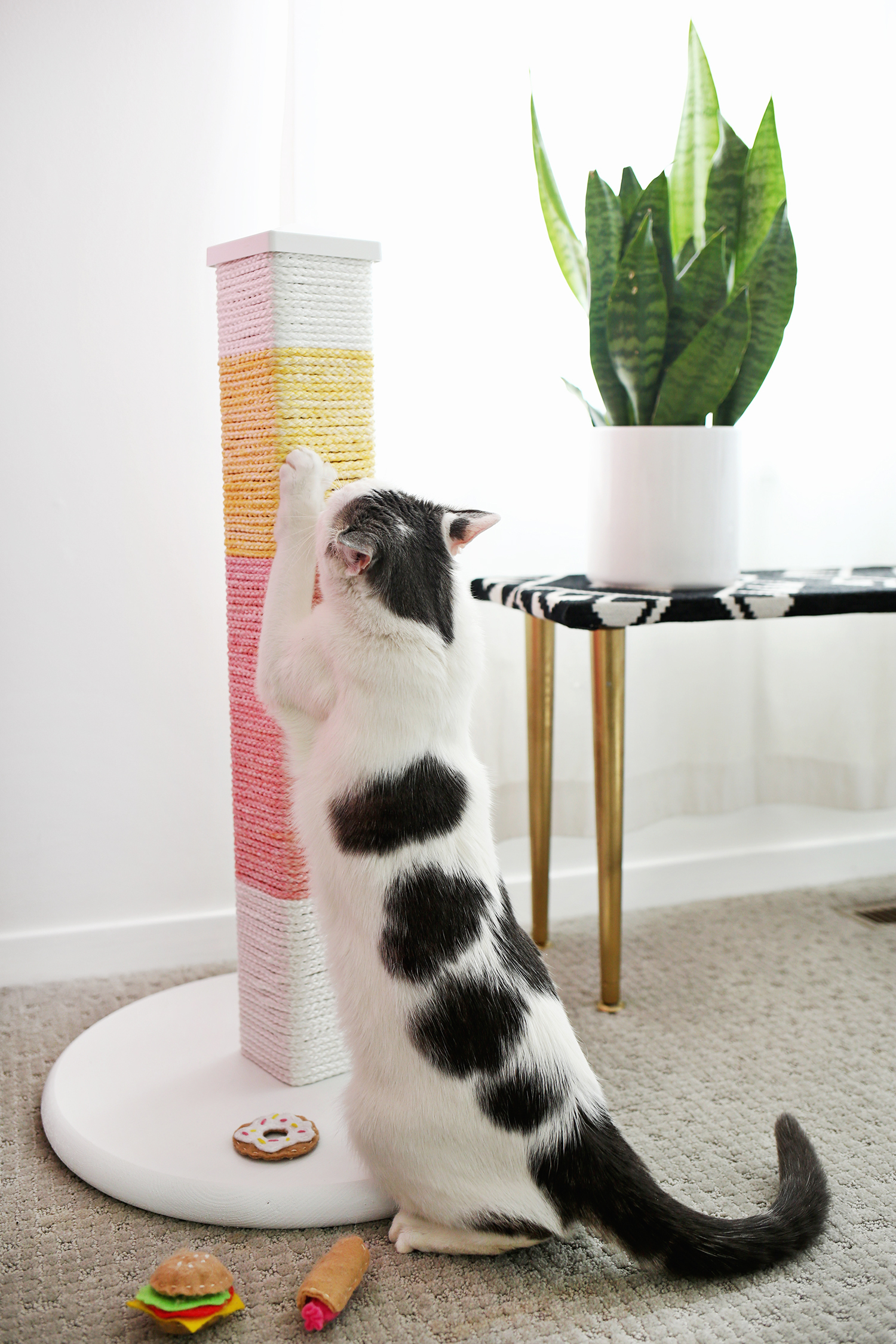 Scratching Posts Pet Supplies Cat Scratching Square Post Kitty