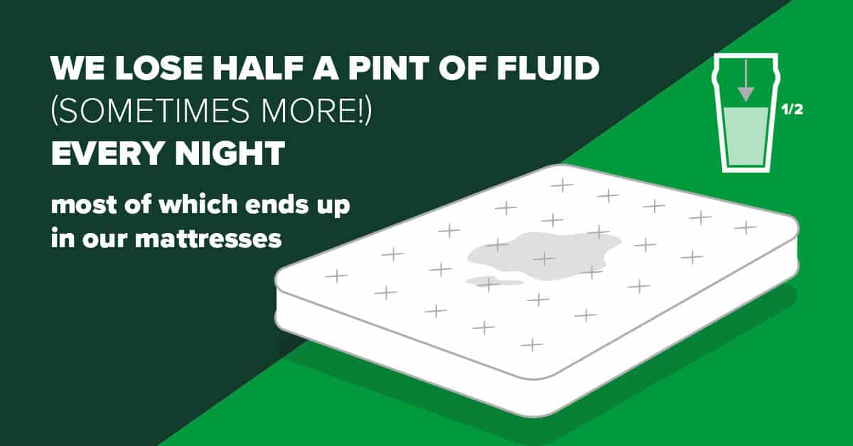 Mattress facts that will shock you