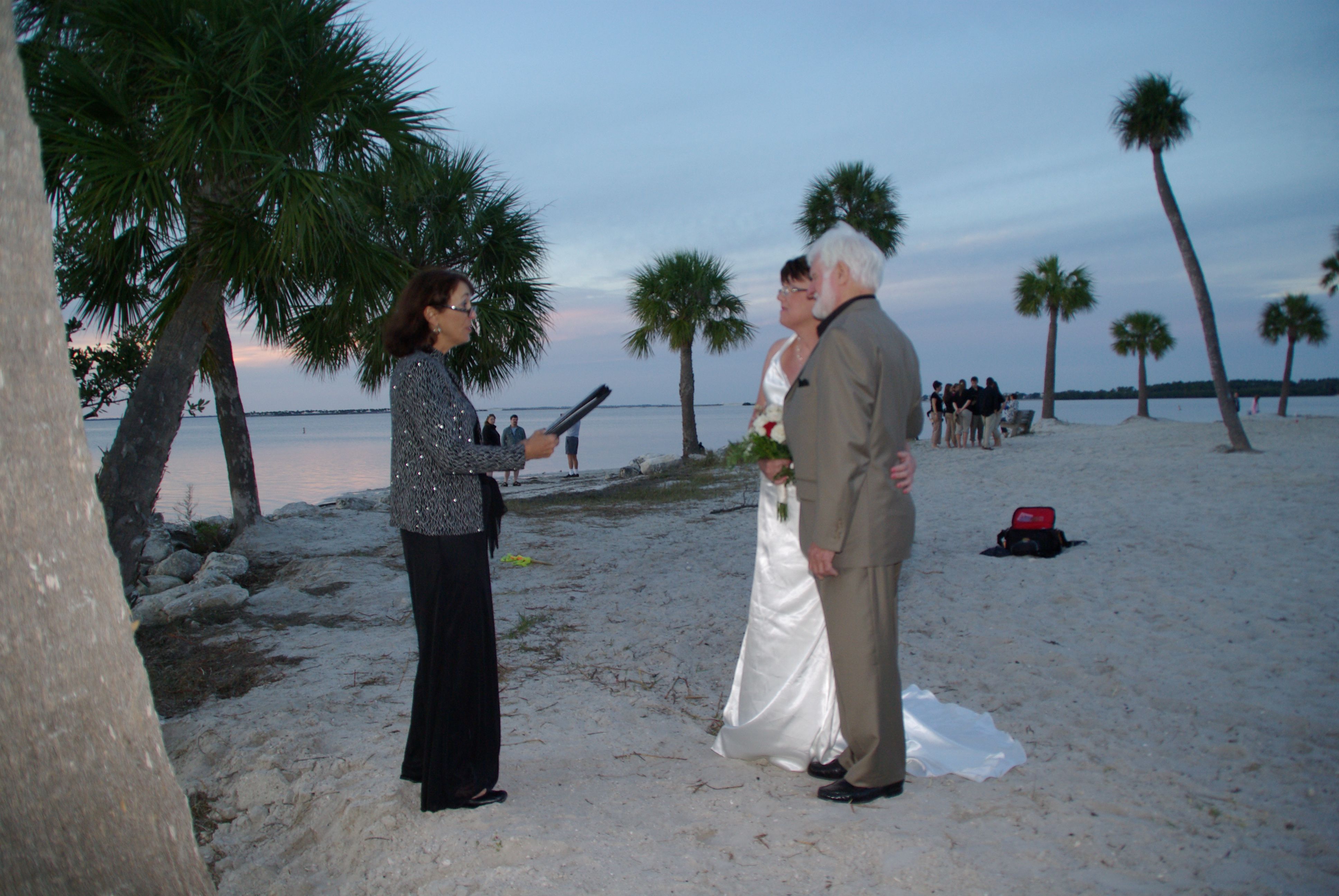 Wedding Officiant Packages 27 How to Plan a Wedding Step by Step