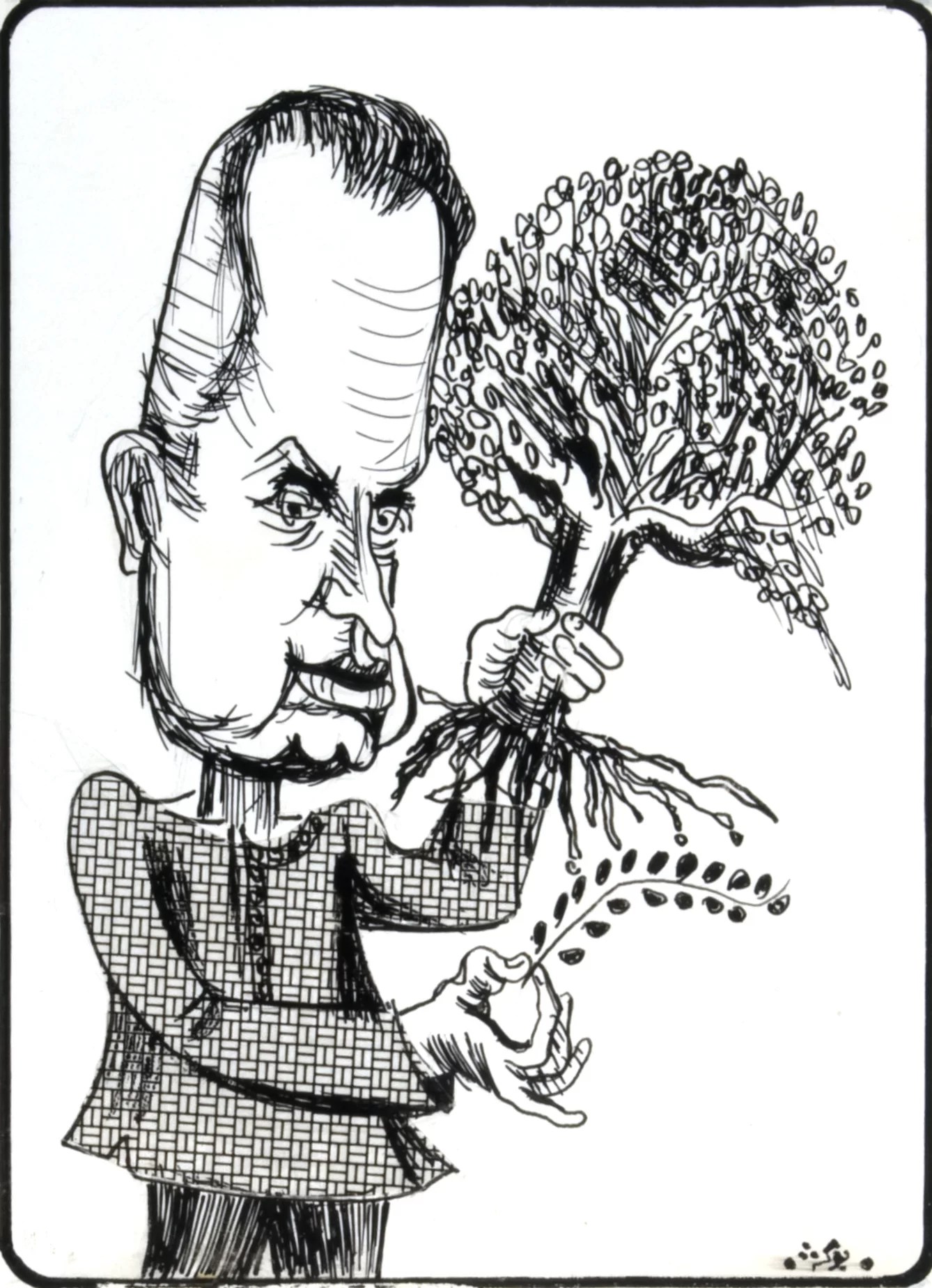 The New Budget Abed Abdi