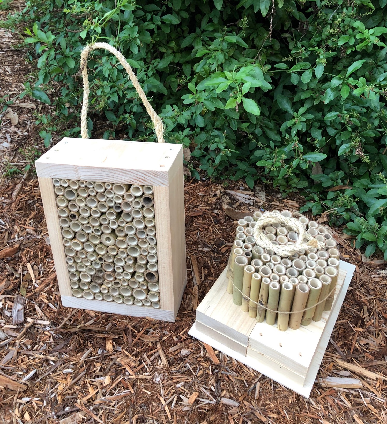 DIY Solitary Native Bee Hotel Australian Ladybird and Insect House