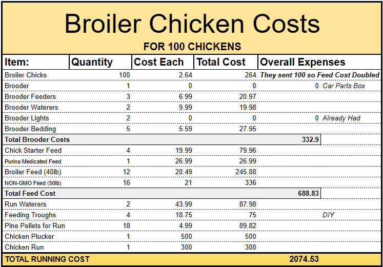 A First Timers Meat Chicken Investmentcost breakdown A BEGINNERS