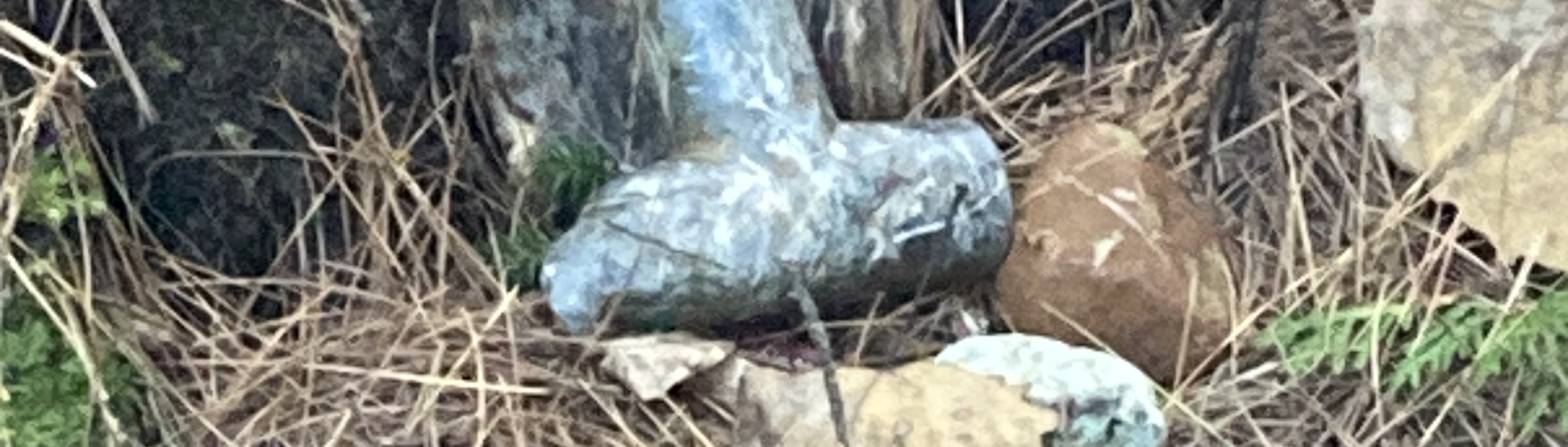 Hunting & Fishing Applications — Abenaki Nation