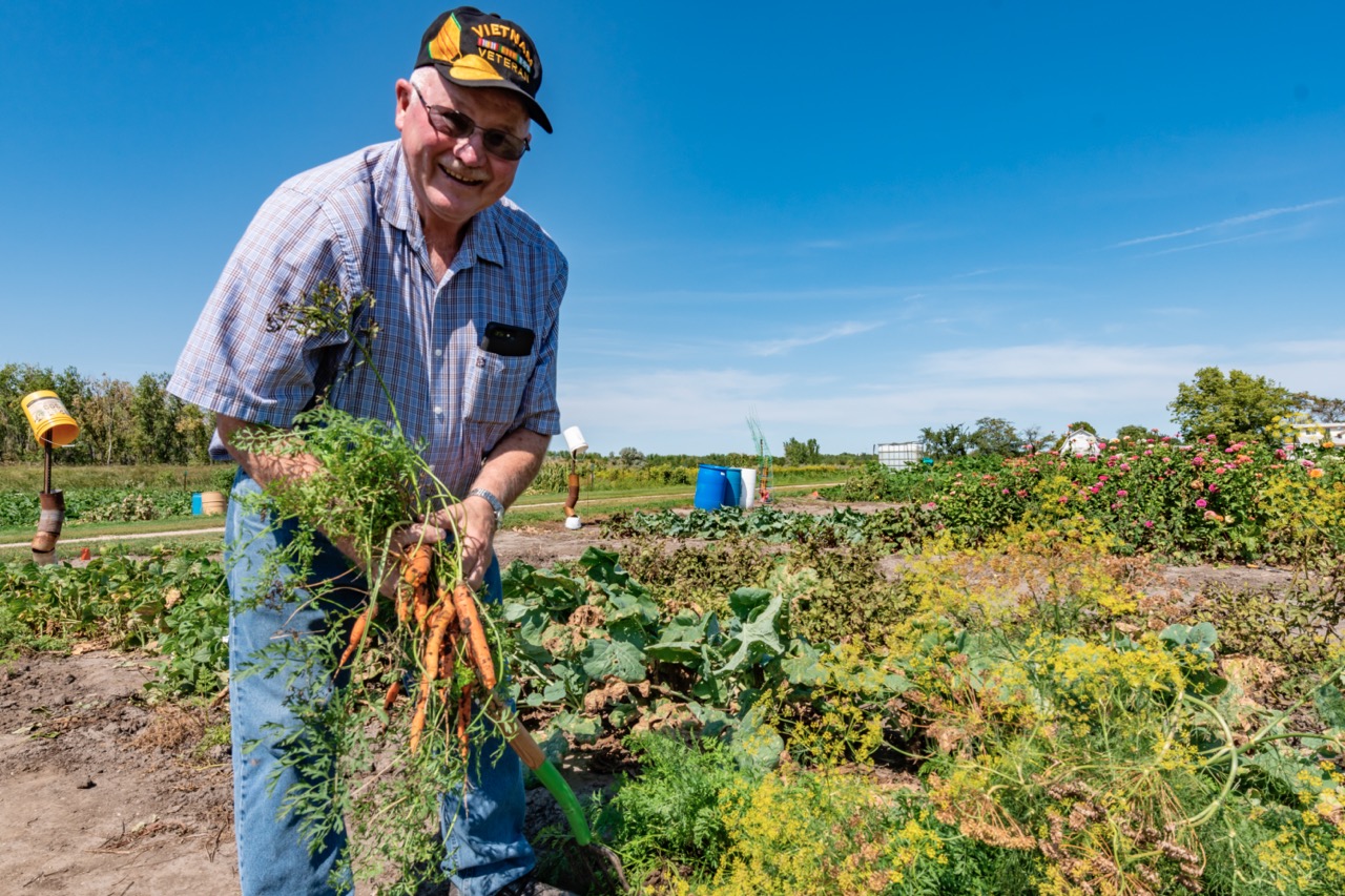 Growing Connections Community Gardens Aberdeen Magazine