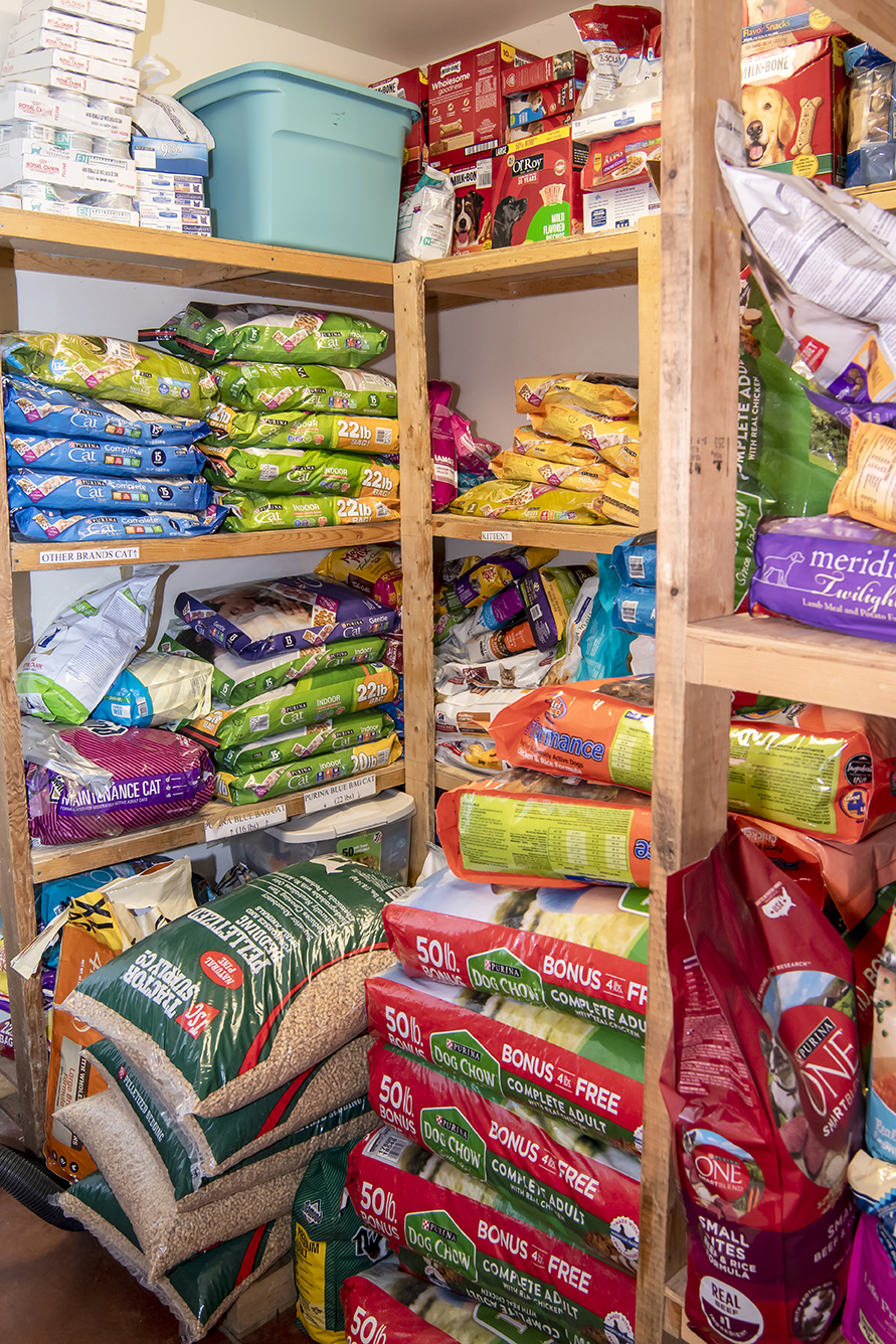 Homeless Animals Funding a Furever Home Aberdeen Magazine