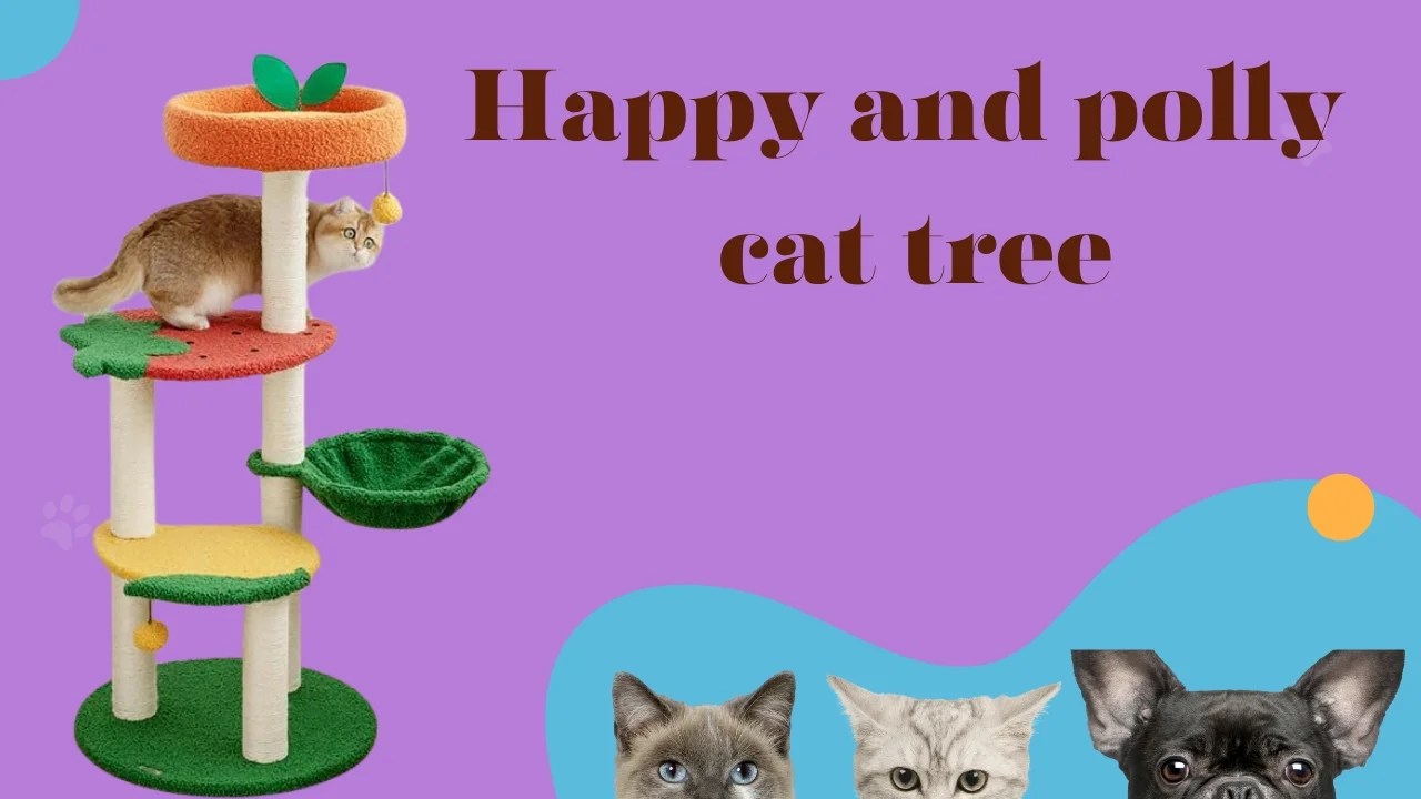 Happy and polly cat tree Best Pets Food Reviews Tips