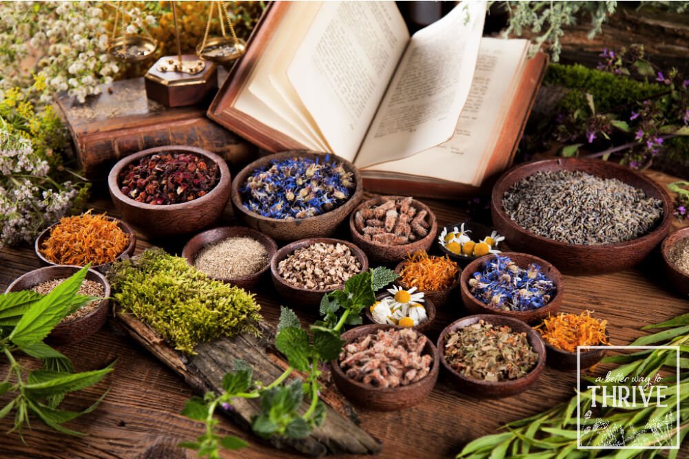 All You Need to Know About Studying Herbs as a Christian