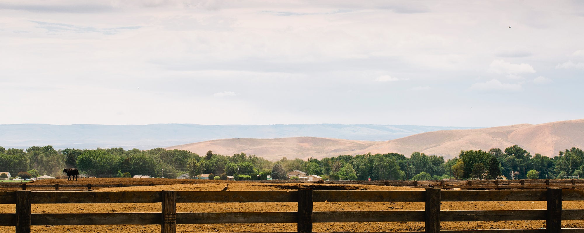 ANLandscape2 Abeyta Nelson Injury Law Yakima Personal Injury and