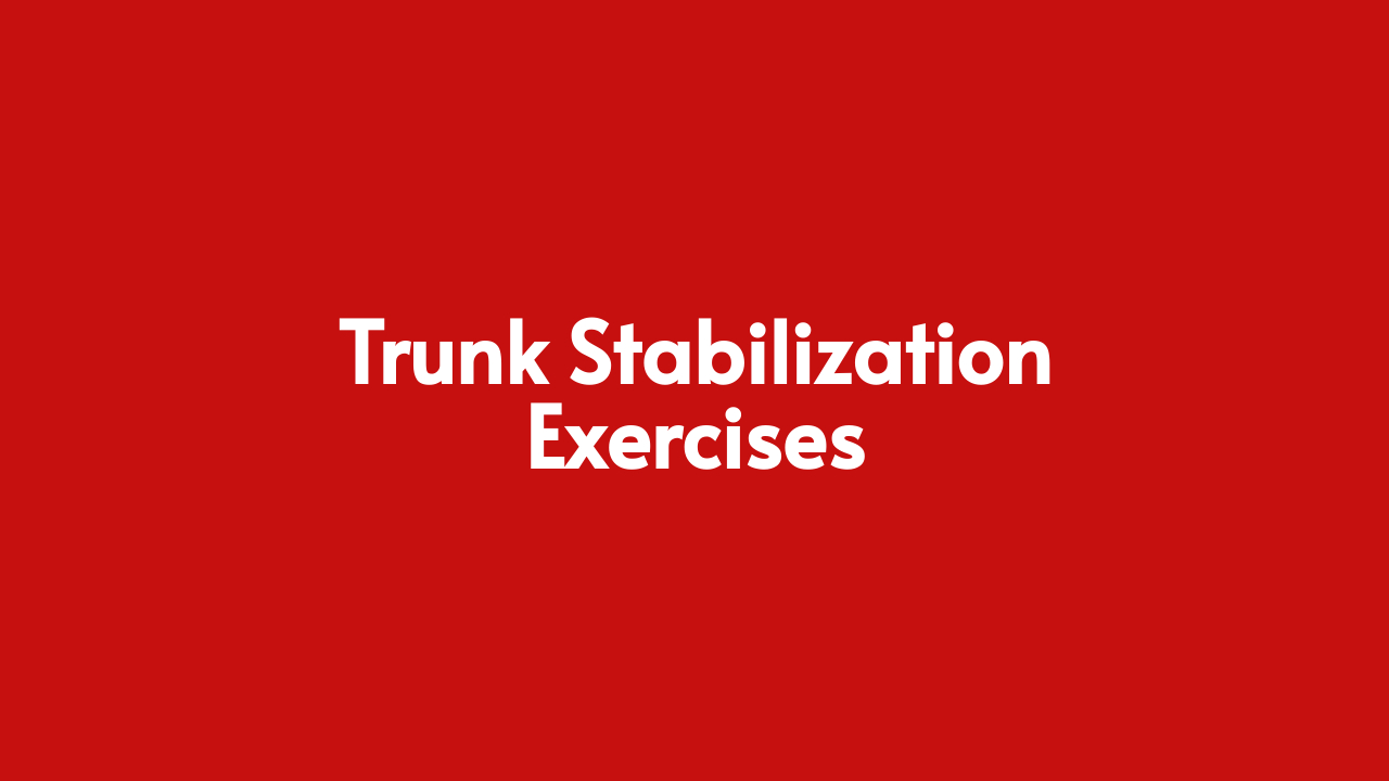 Trunk Stabilization Exercises [Core stability] Abformer Products
