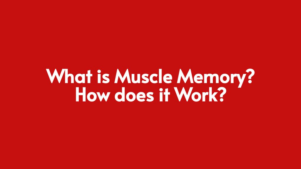 What is Muscle Memory? How does it Work? Abformer Products