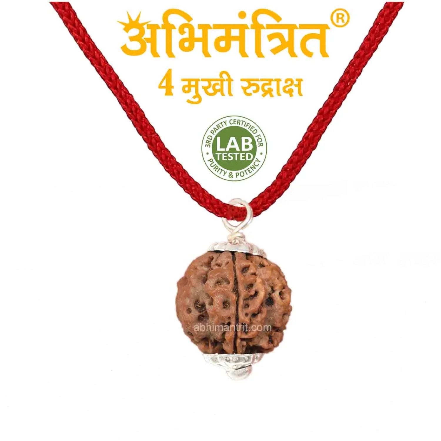 Buy 100 Original Ganesh Rudraksha Online at Low Price in India