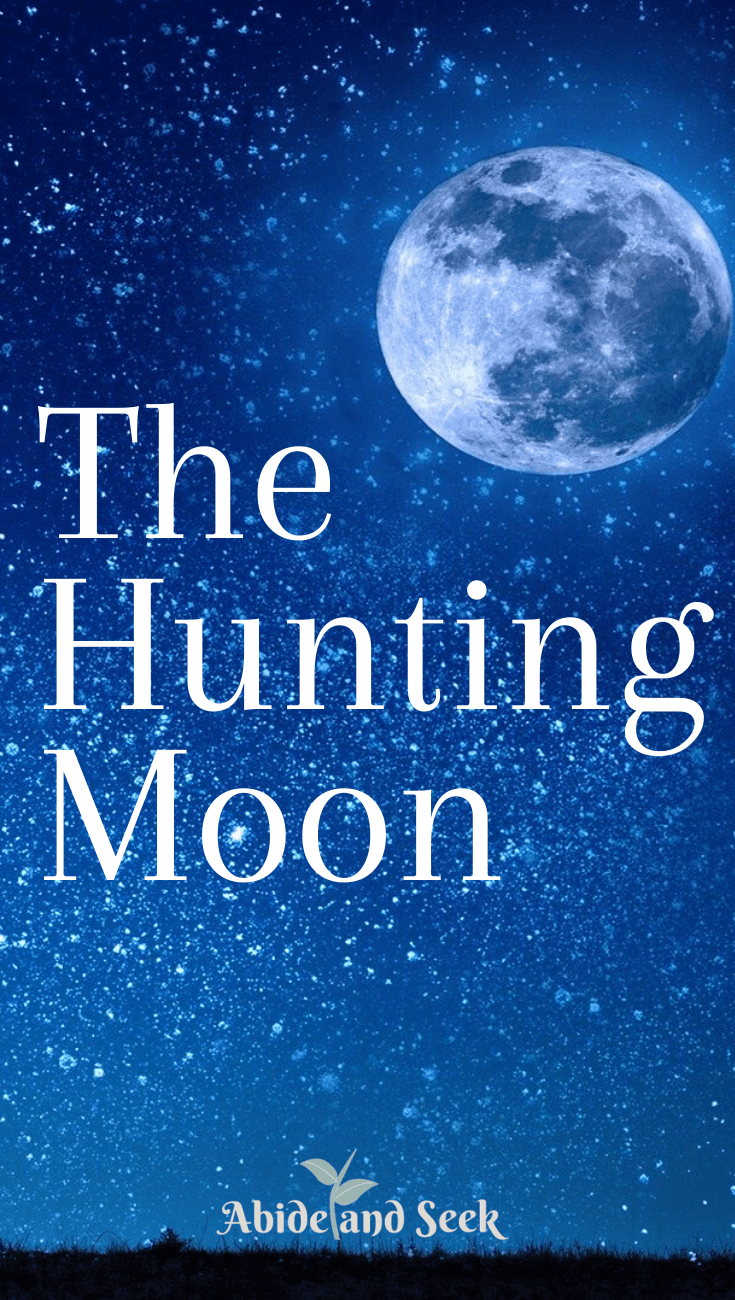 7 Bible Verses For Comfort During Loss Abide And Seek