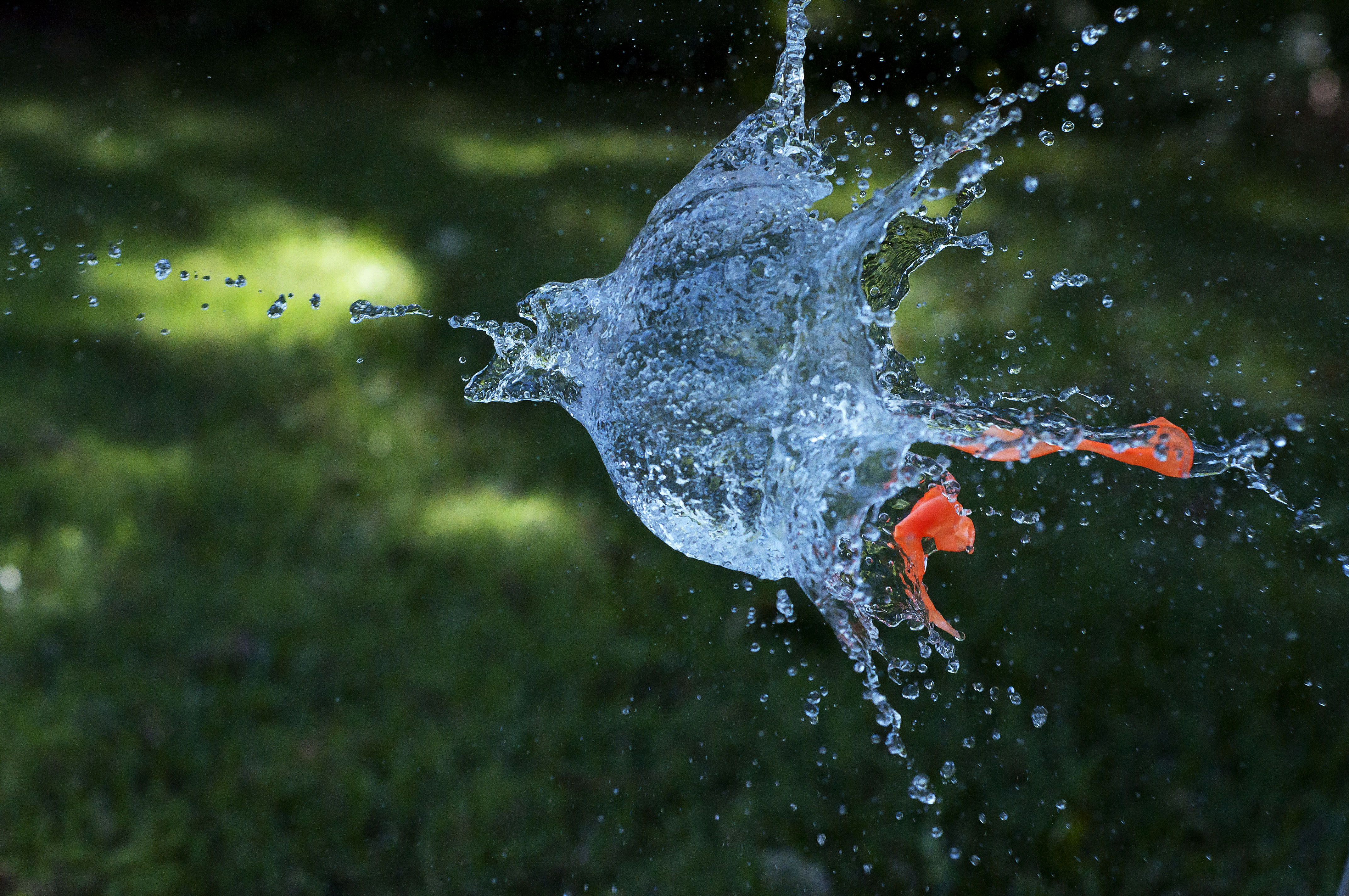 world’s largest water balloon fight Abigail Thompson Photography