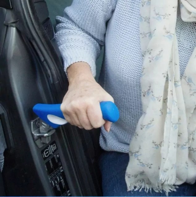 Auto Assist Grab Bar Ability Assist