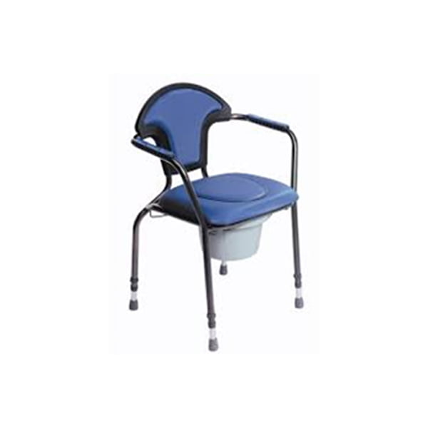 Luxury commode chair Ability Store