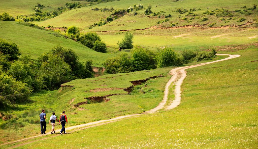 Country walk ABI Holiday Homes