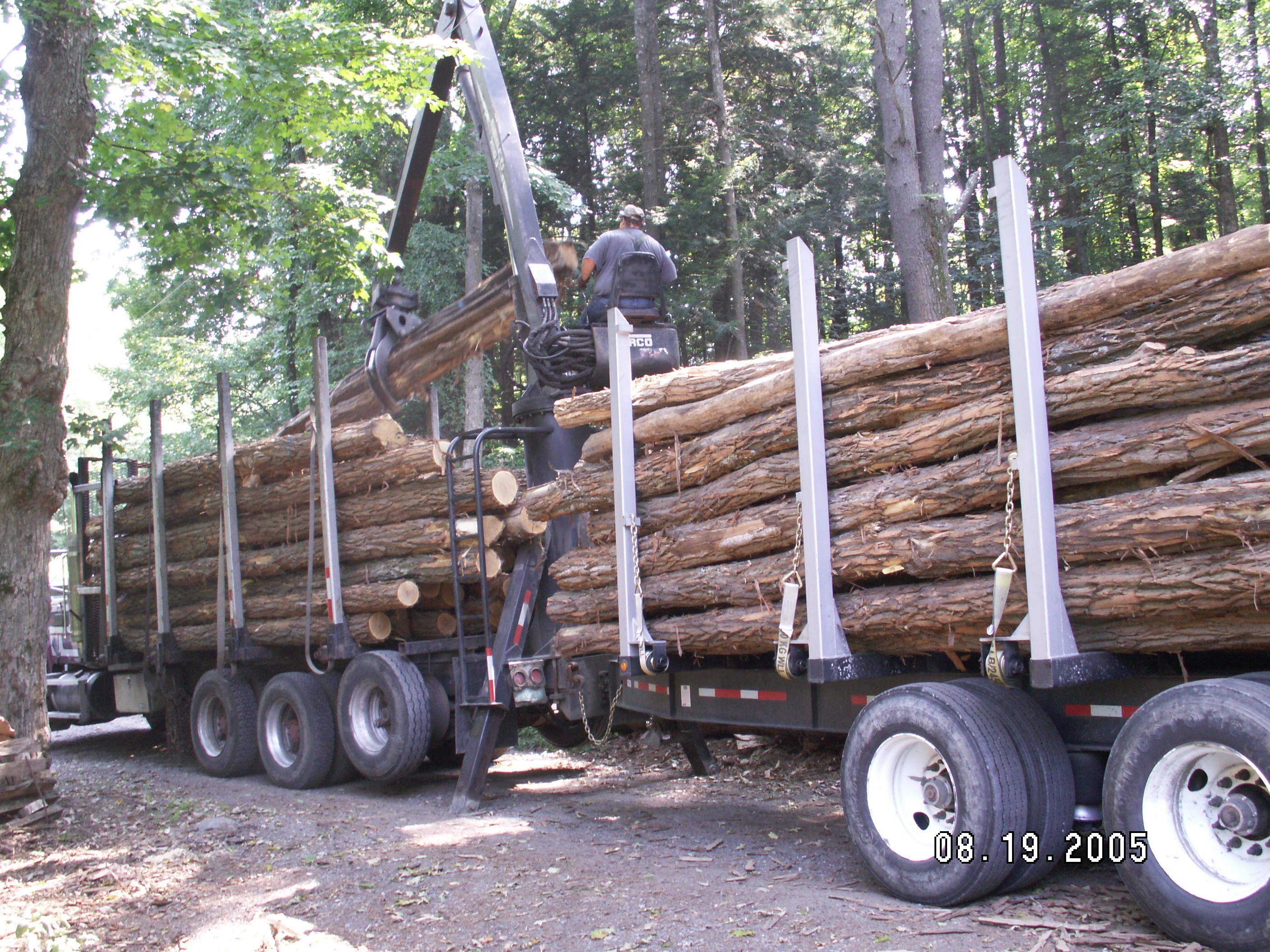 Black Locust — Milled Lumber