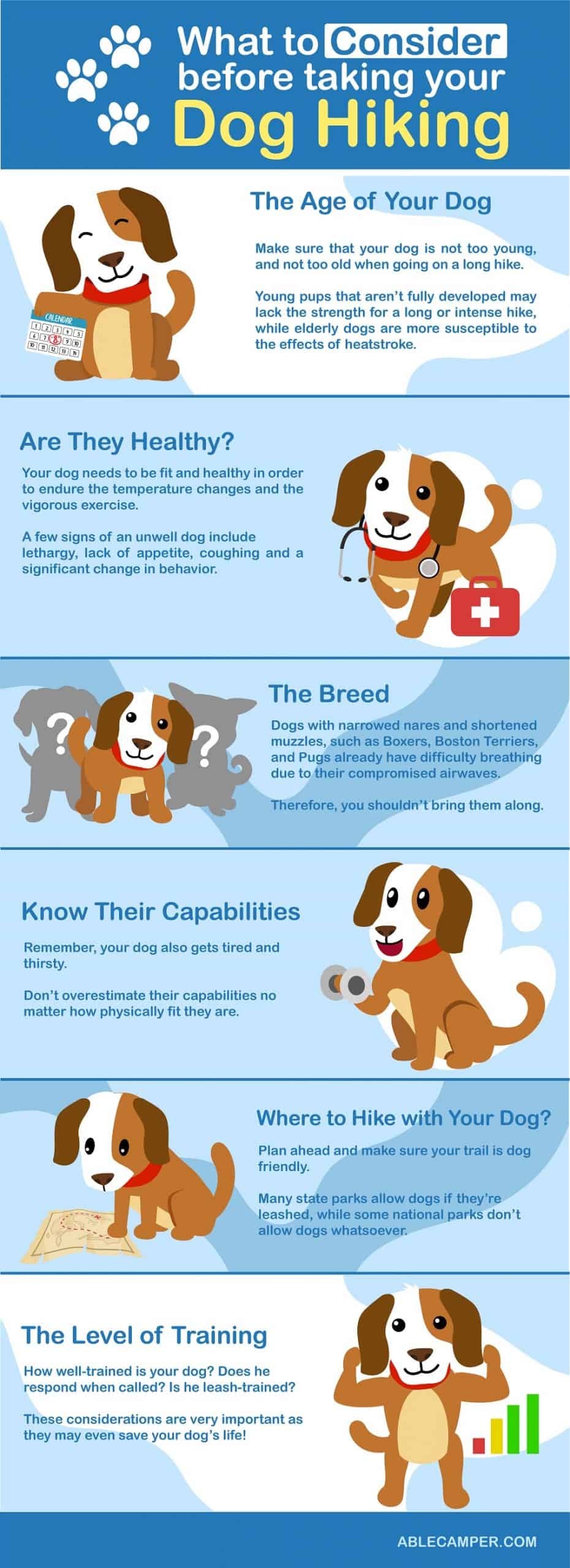 The Ultimate Guide to Hiking With Your Dog Able Camper