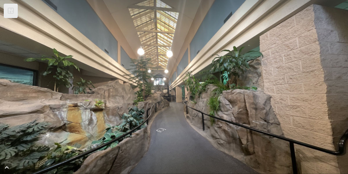 Potter Park Zoo Lansing, MI Able Eyes