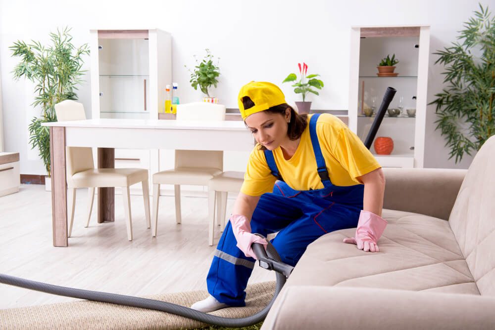 Carpet Cleaning & Upholstery Cleaning 5 Commonly Believed Fallacies