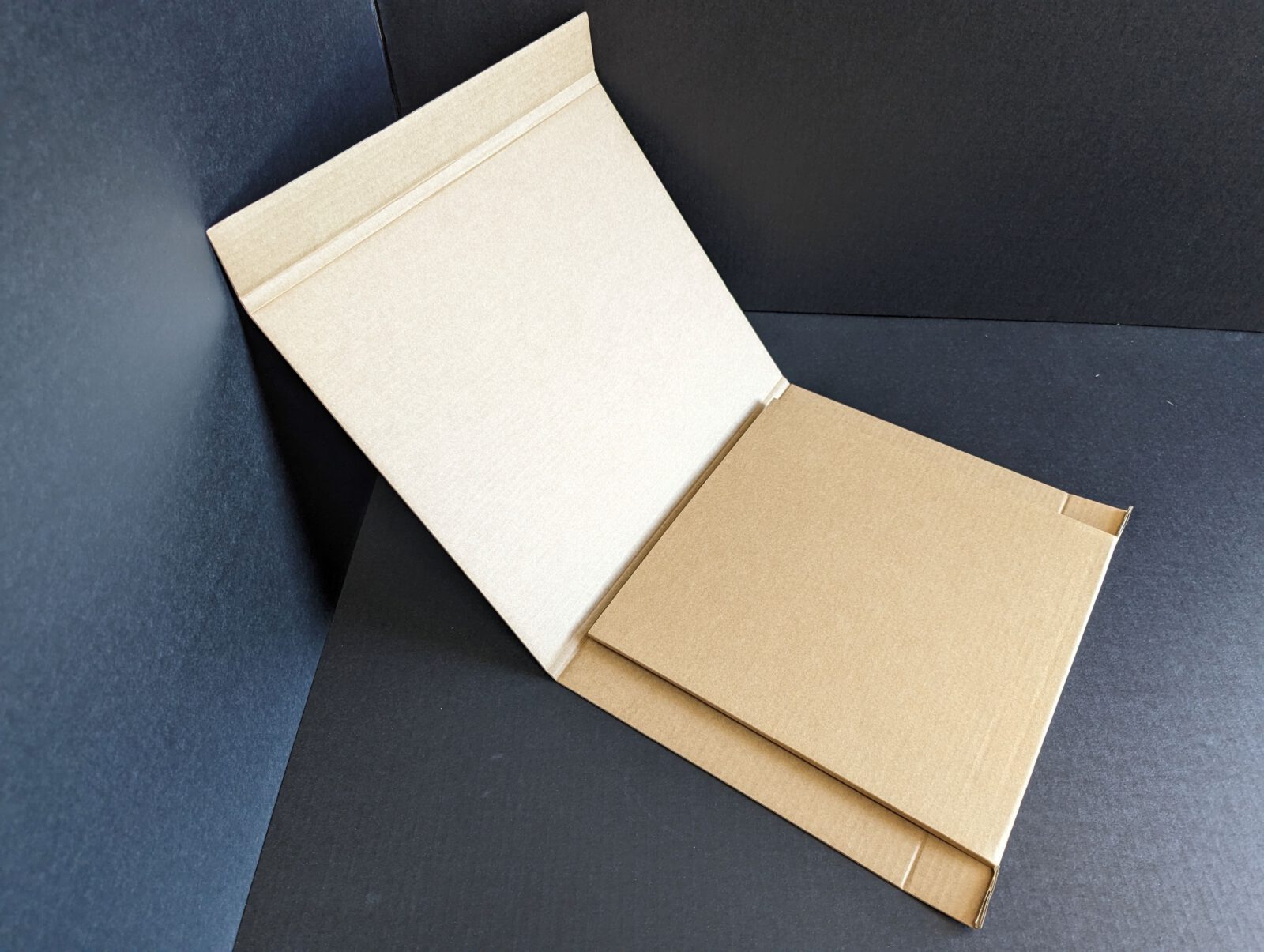 Vinyl Record LP Mailer with crush zone 20mm height
