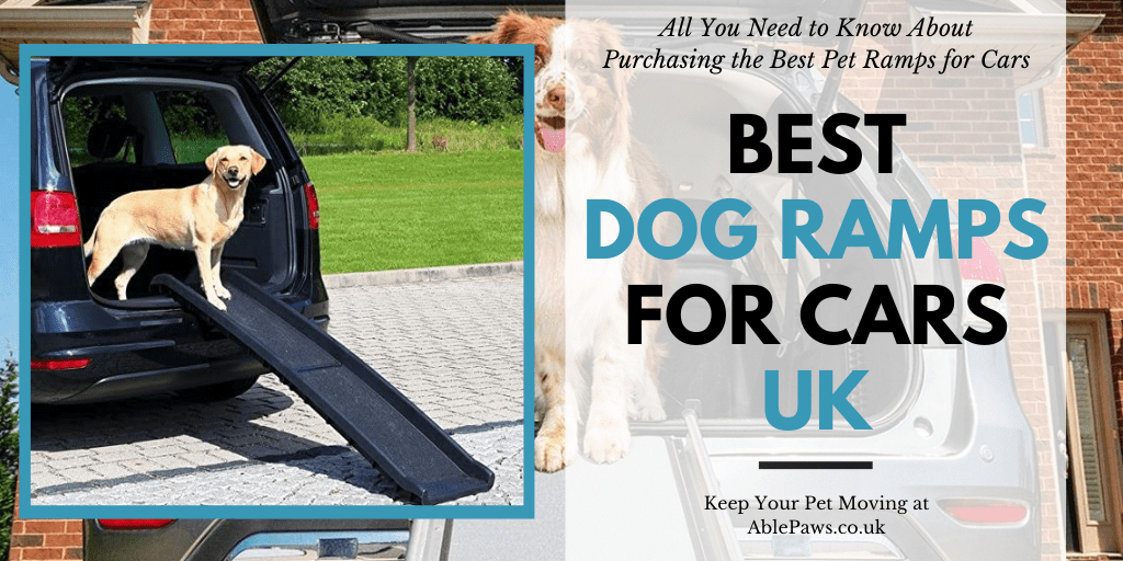 Hit the Road with Your Hound The 5 Best Dog Ramps for Cars in the UK