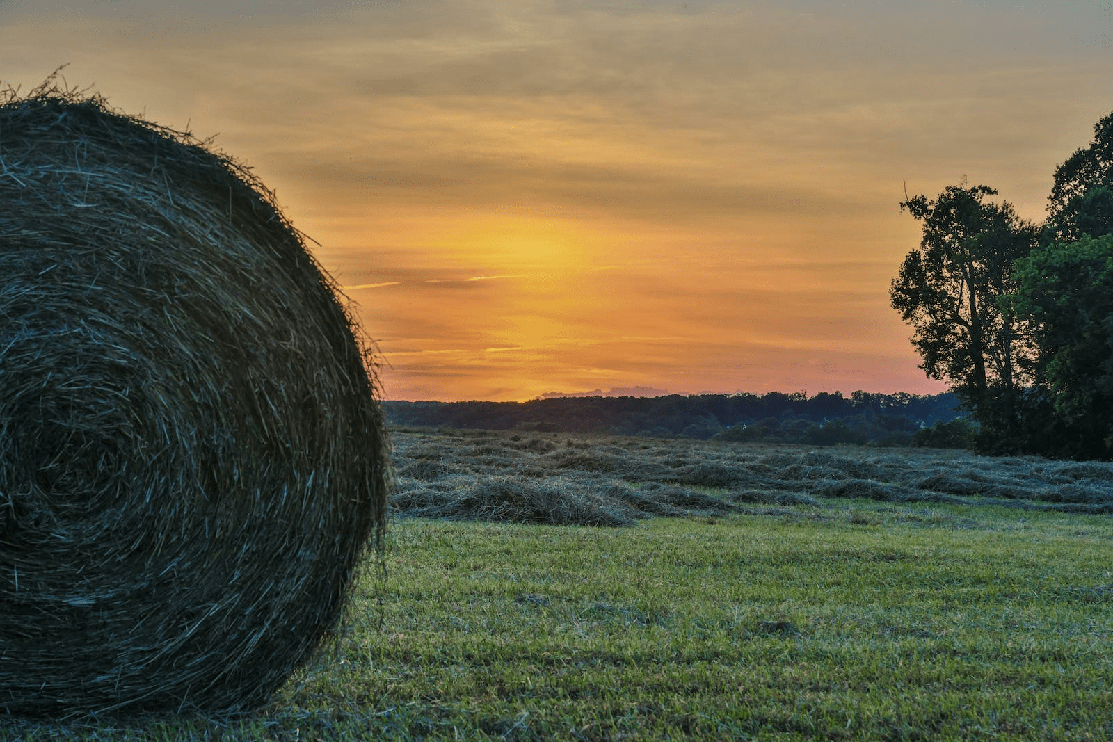 20 Pros and Cons of Living in Maryland vs Virginia Ablison