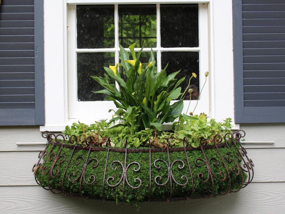 Beuatiful Window Planter Box Ideas A Blissful Nest