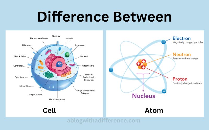 Between Cell and Atom best 5 difference