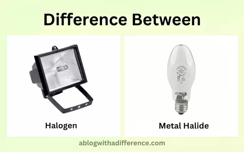 Between Halogen and Metal Halide The best 5 difference