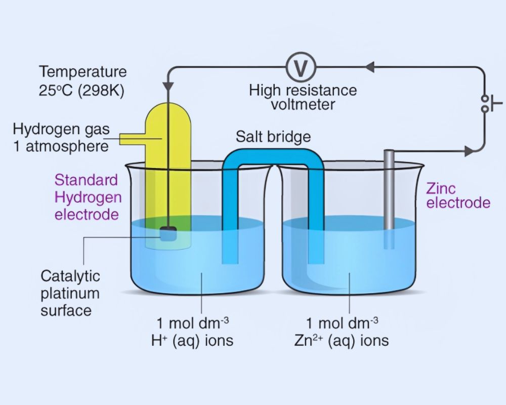 Single Electrode Potential and Standard Electrode PotentialThe best 5