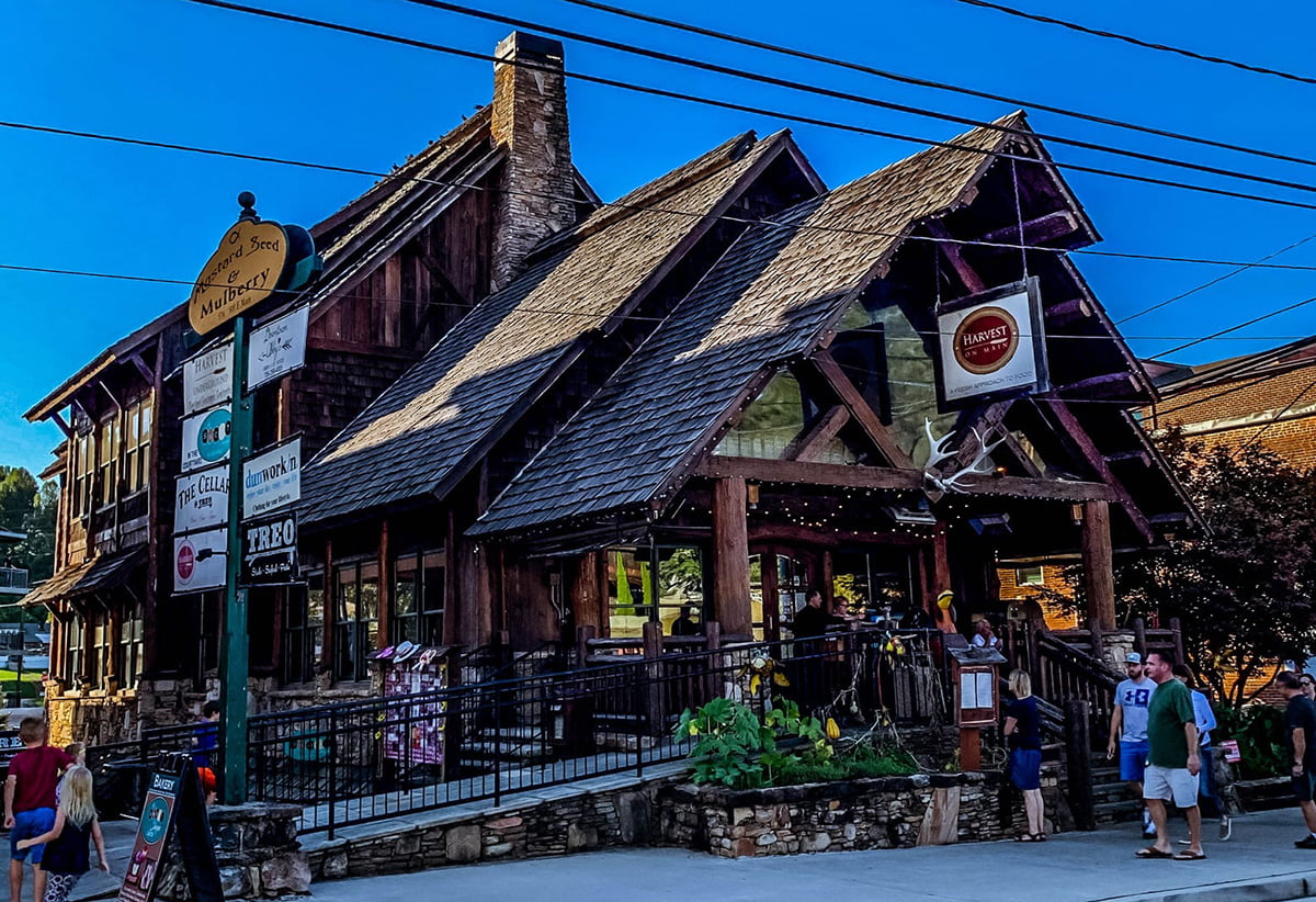 Activities and Things to Do Nearby A Blue Ridge Cabin Rental