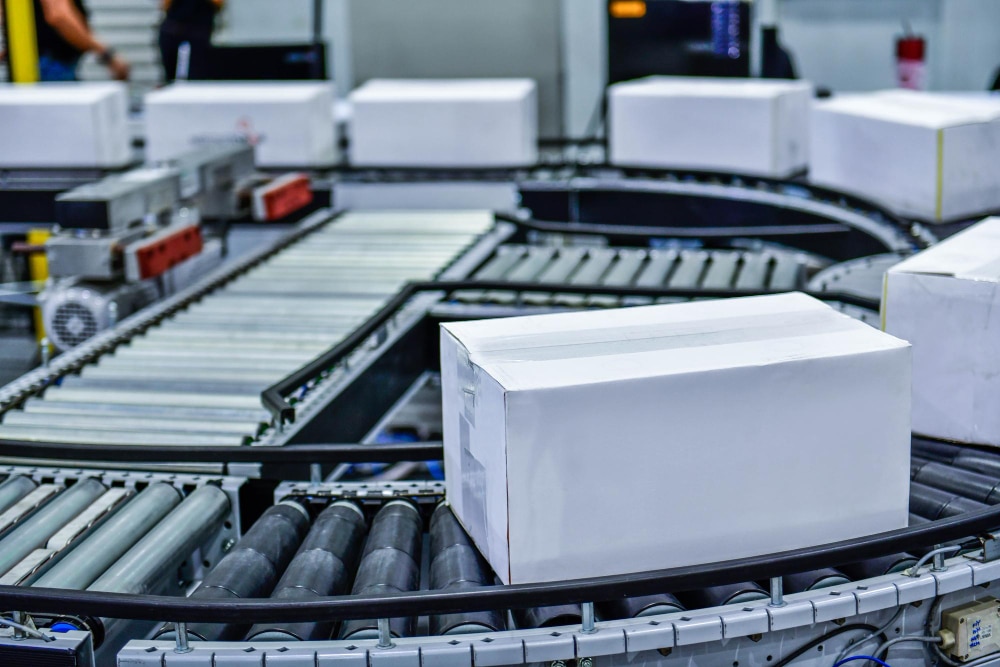 Packaging Line Engineering Services for Food, Pharma, and Chemical