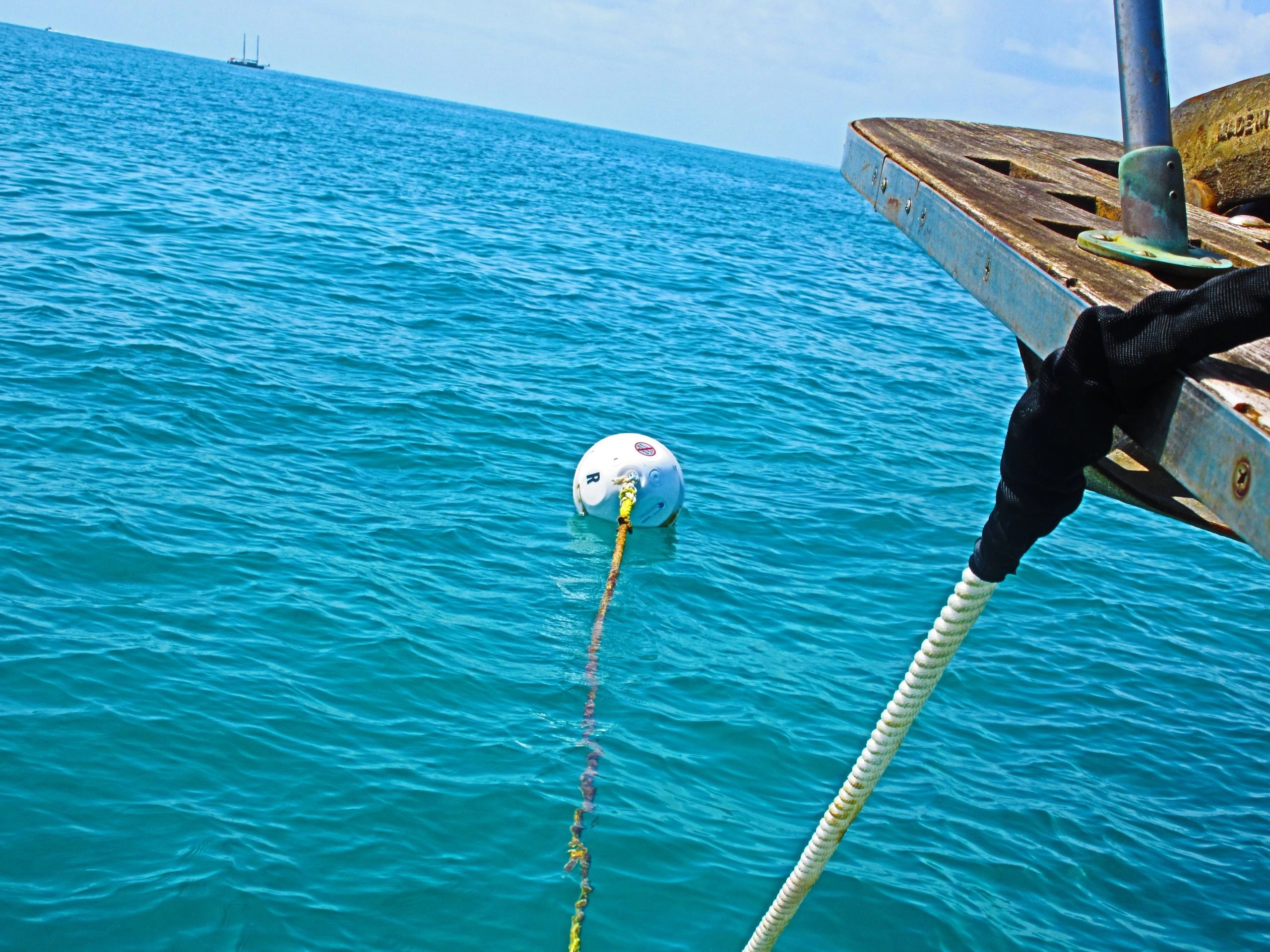 Mooring Buoys in the Florida Keys Aboard Aeon