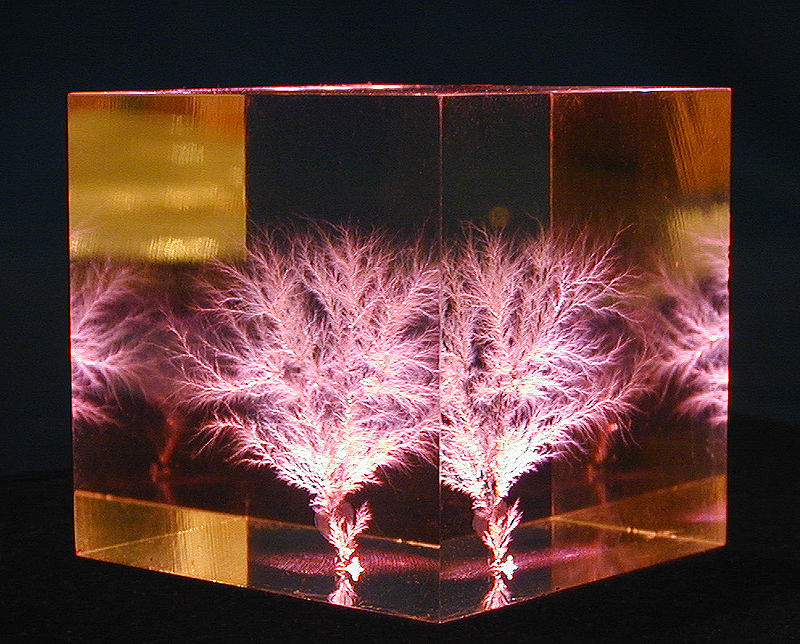 About ELECTRIC TREES Melissa Bobe