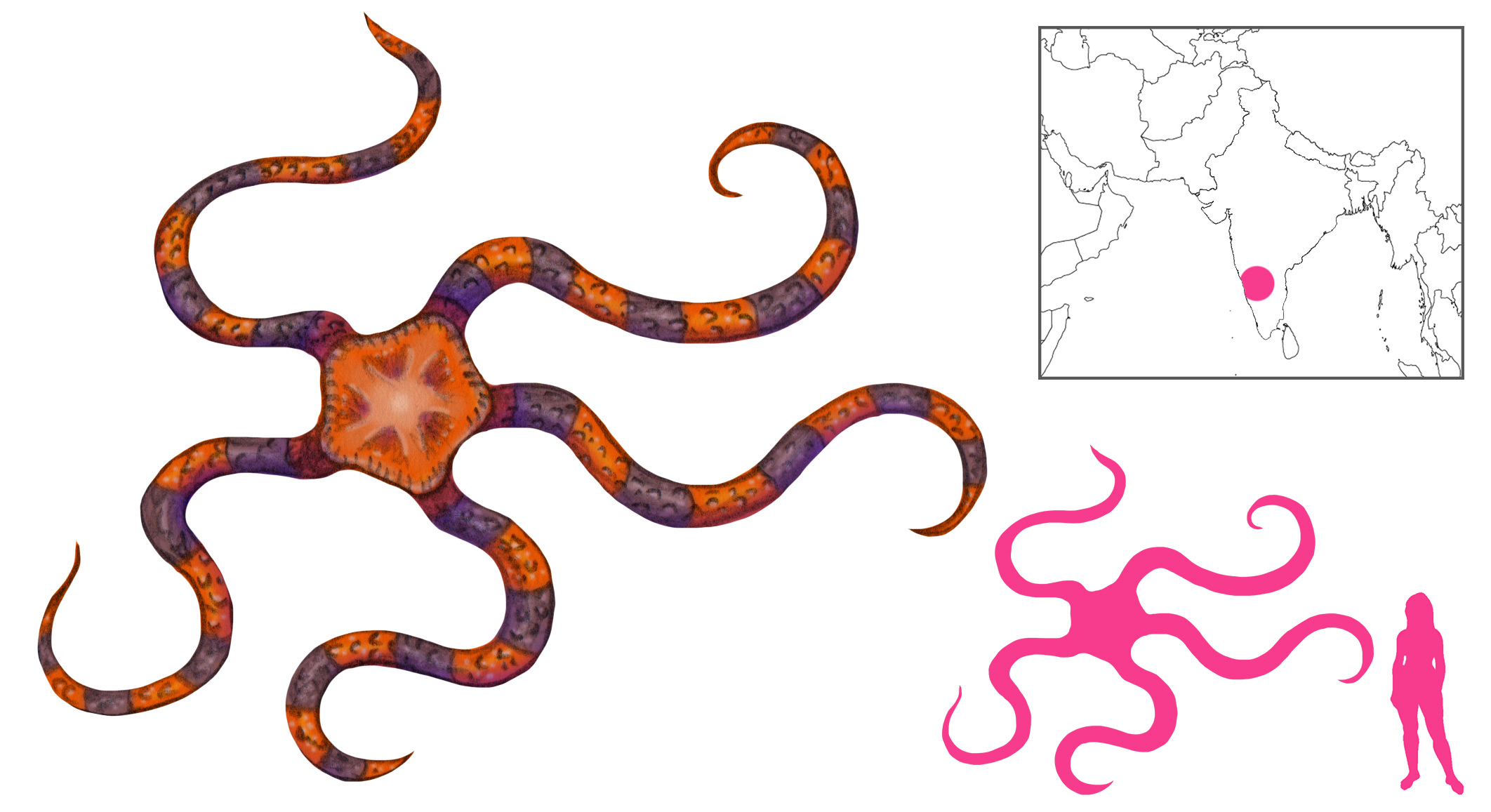 A Book of Creatures A Complete Guide to Entities of Myth, Legend, and